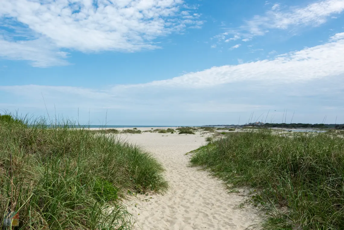 Link to PawleysIslandSC.com