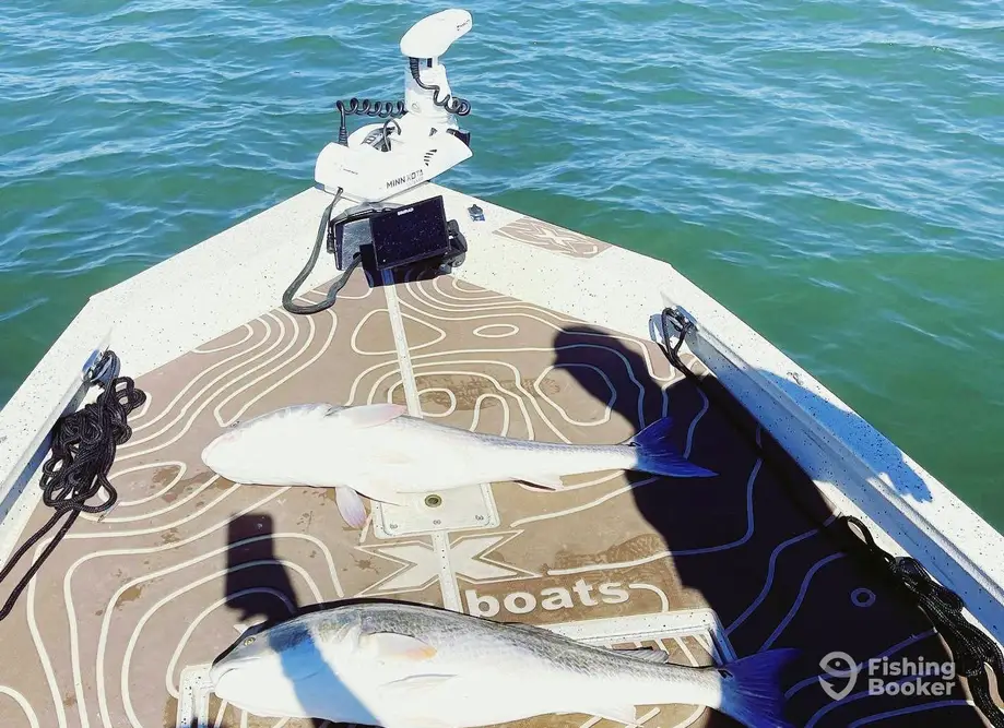 North Island Fishing Charters charter image 3