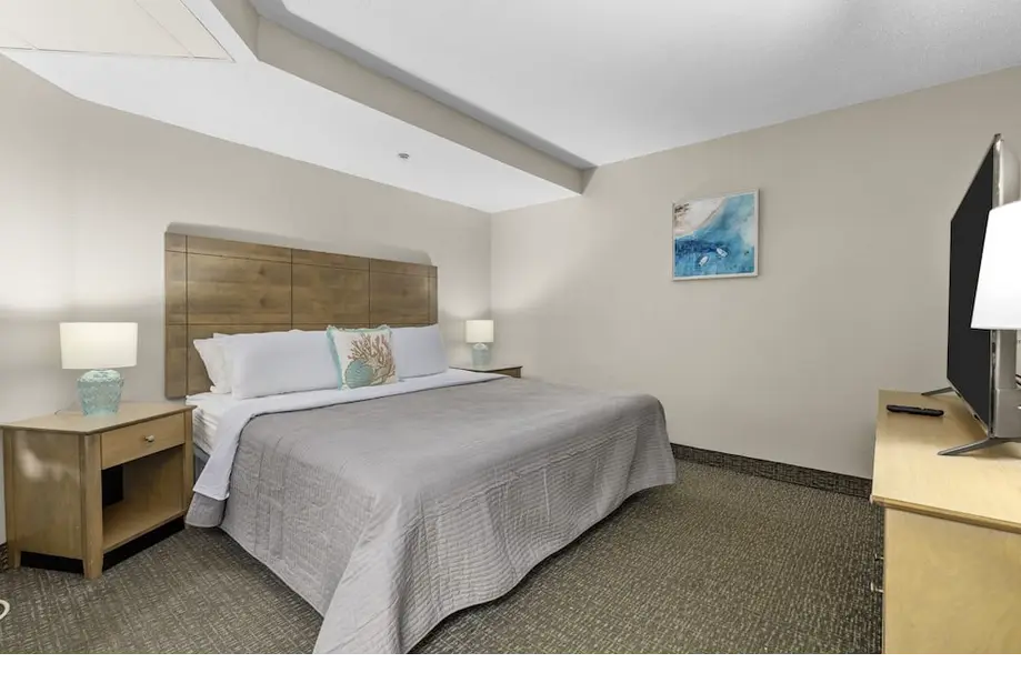 New Oceanview Landmark, King Bed, Handic...